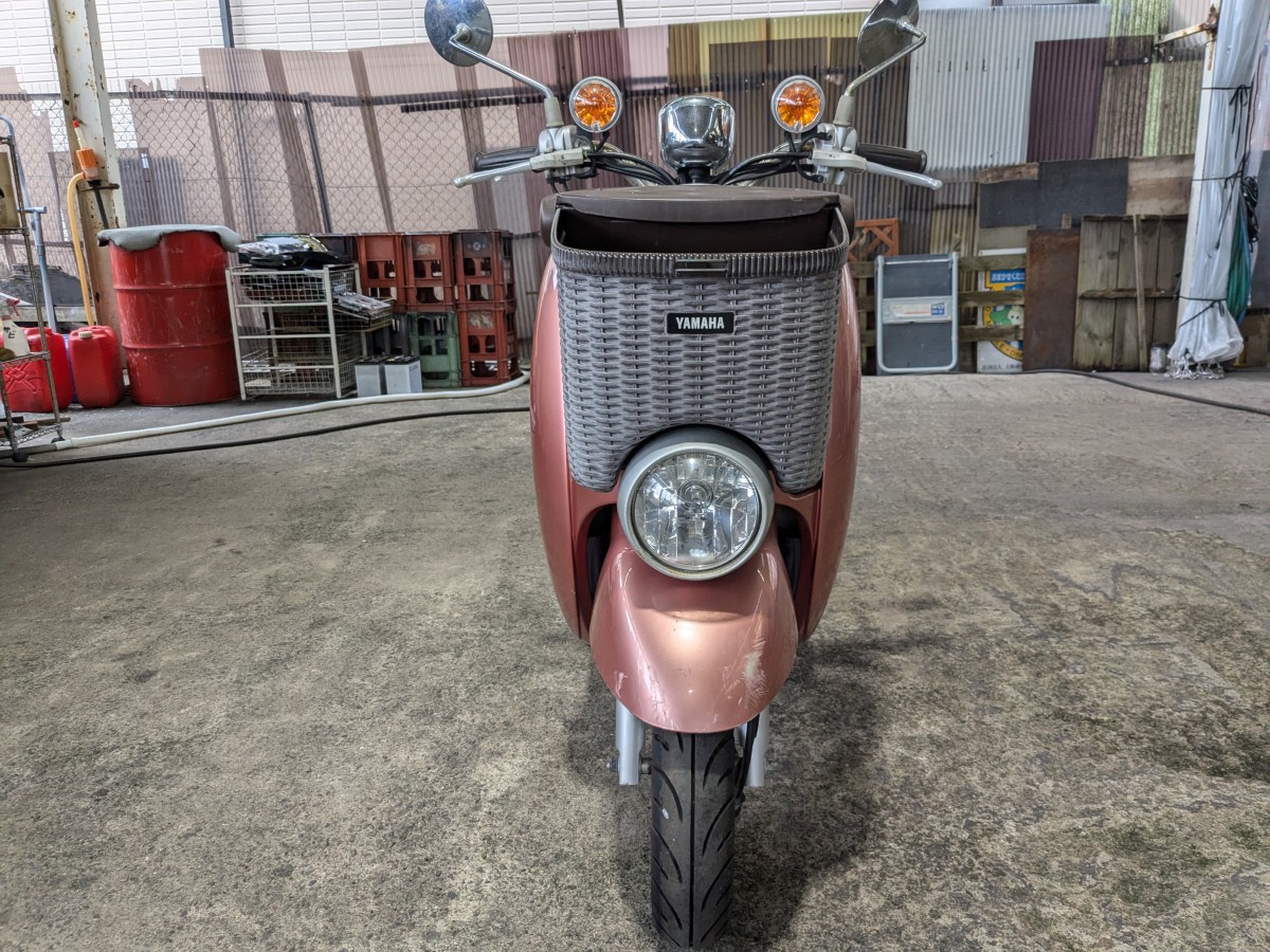 ピンク色のビーノモルフェ